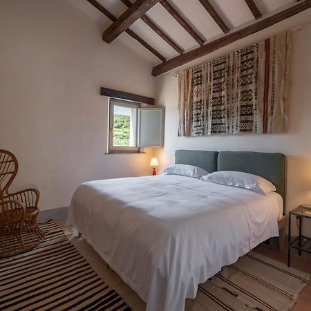 Locanda Fontelupa Campagnatico Pokoj fotografie
